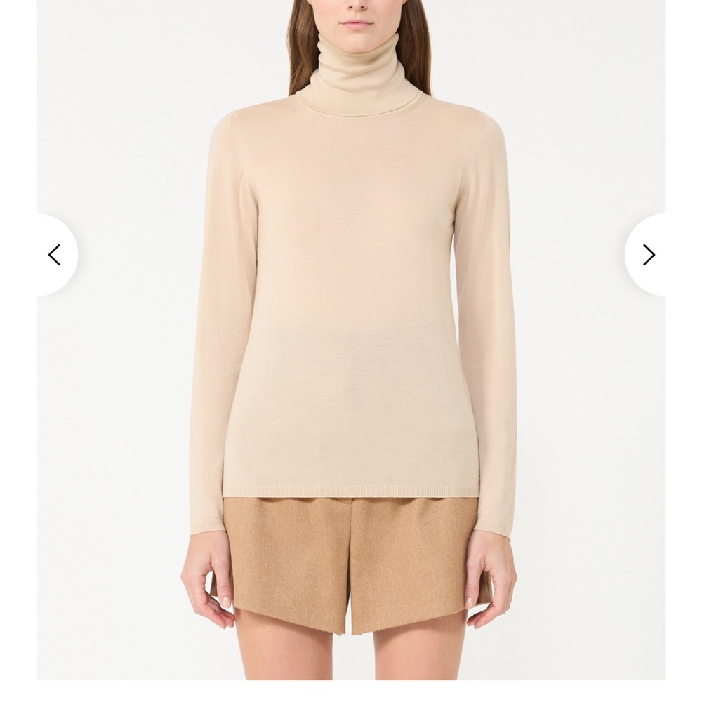 MaxMara leisure Long Sleeve iridescent Top M/L